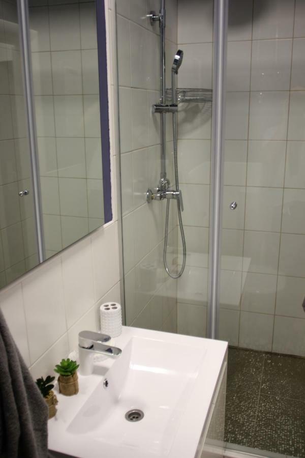 Cozy Apartment In Center Of רייקה מראה חיצוני תמונה
